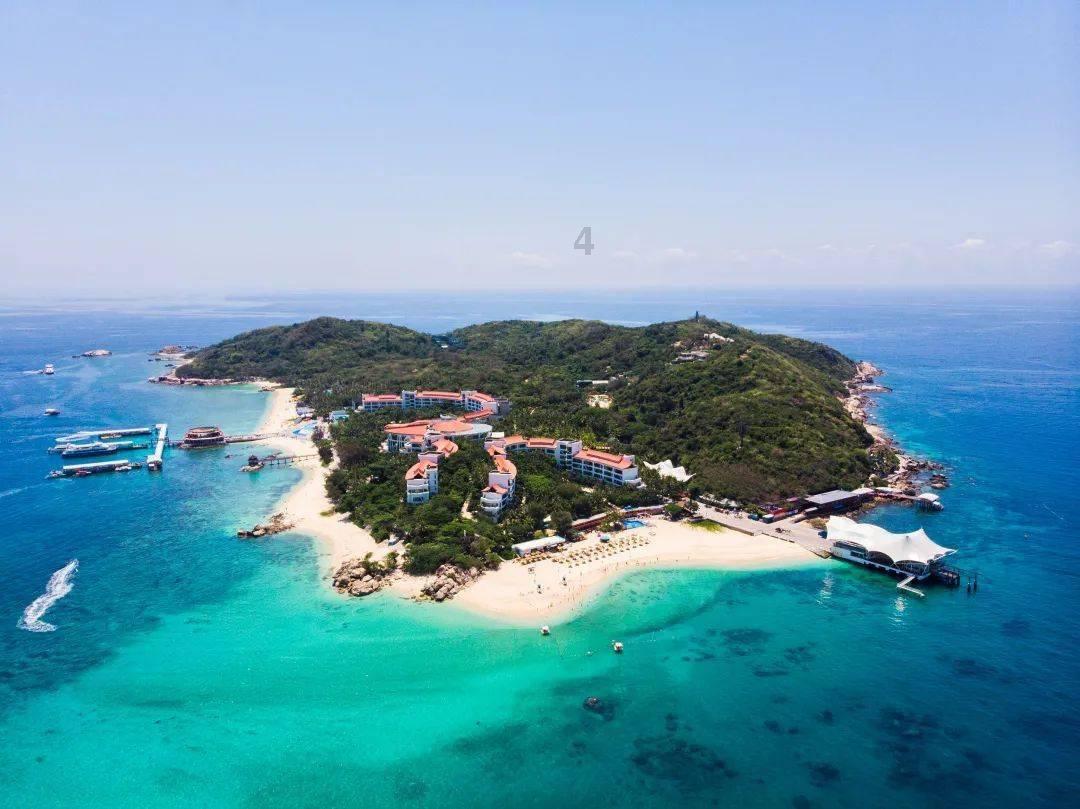 夏季热带海滩逃生