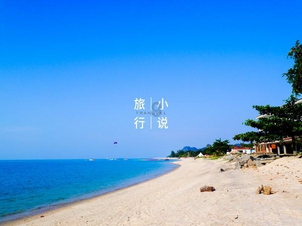 拯救精灵的土地8