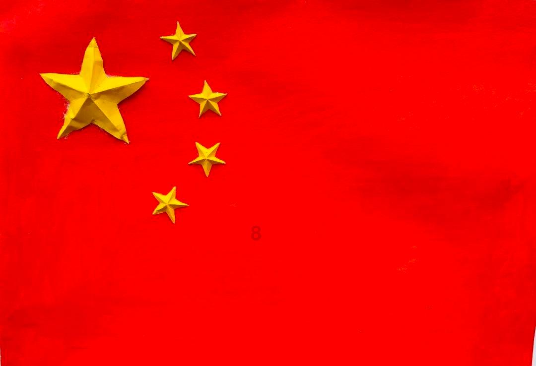拯救受伤的猫